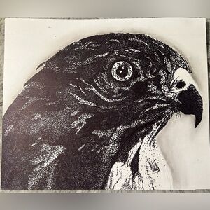 Black and White Falcon Art Print